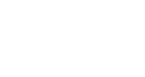 Elann